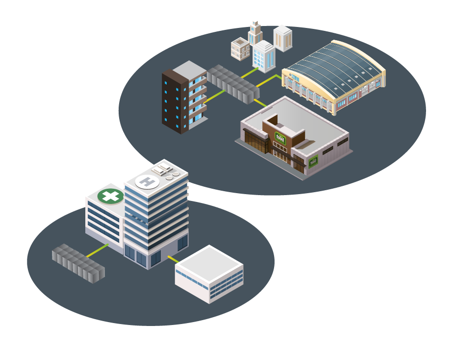 Hydrogen Energy Server